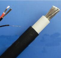 WDZ-DCK，WDZ-DCKP-125，DCEVM機車電纜